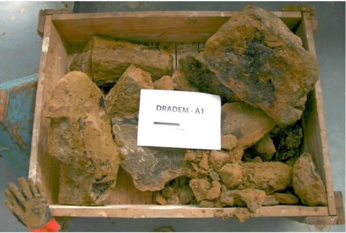 Figure 15: The rocks recovered by A1 dredge. 