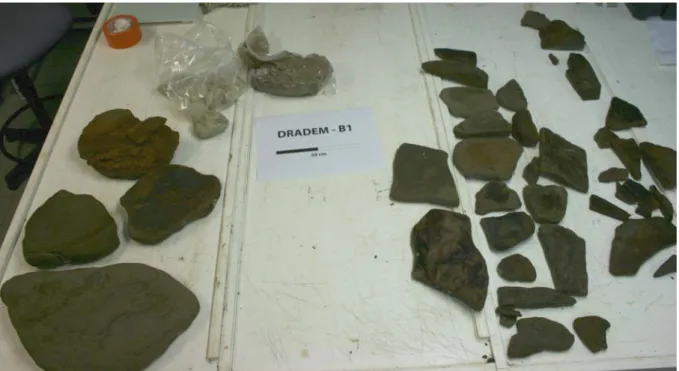 Figure 29: View of all pieces from dredge B1. 