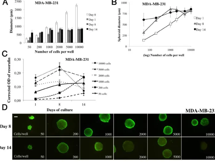 Figure 3: Parameter determination for MDA-MB-231 cell line spheroid formation.  For MDA-MB-231 cell line spheroid  formation, 50 to 10000 cells were seeded in 96-wells microplates (“ULA” for Ultra Low Attachment, Corning®) at Day 0 and 2% Geltrex® 