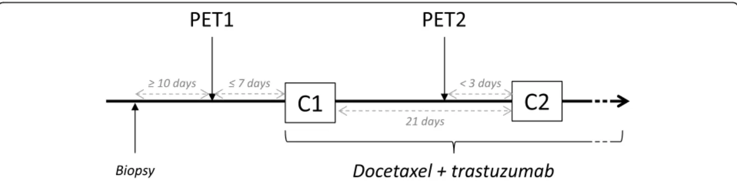 Fig. 1 Study design. The first PET scan was realised within 7 days before the first cycle of chemotherapy (C1)