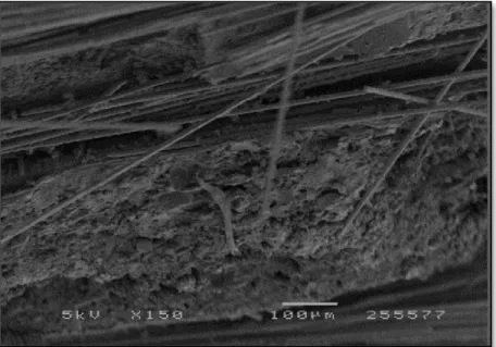 Figure 19: SEM fractograph of woven carbon fiber epoxy composite after  fracture under compression (36.8% vol)