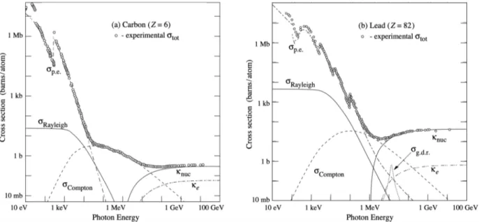 Figure 3.3: Dependence of the cross-section of different interaction processes on the photon en- en-ergy for a light material (Carbon) and a heavy one (Lead)