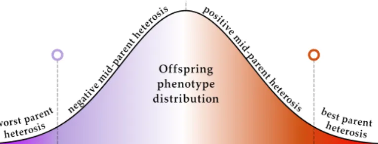 Figure 2.1. O ff spring phenotype distribution. How the phenotypes of o ↵ spring behave are not always straight forward