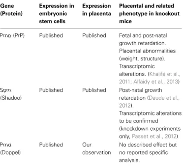 Table 1 | Summary on prion protein family expression in placenta and knockout phenotypes