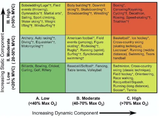 Figure  2 :  Classification  moderne  des  activités  physiques  selon  leurs  composantes  statiques  et  dynamiques  (Mitchell  et al