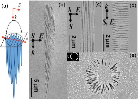 Figure  1.11  Nanogratings  scheme  within  a  laser  track  cross-section  (a).  Scanning  electron  microscopy  (SEM) image of the nanogratings inscribed at 65 m from the surface with a linear polarization  perpen-dicular (b, c) and parallel (d) to the w