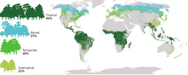 Figure 1.1: Proportion and distribution of global forest area by climatic domain, 2020 [1].