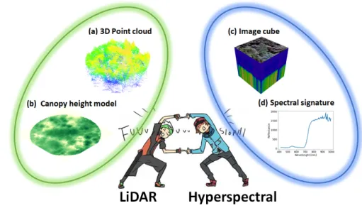 Figure 1.9: Data fusion of LiDAR and hyperspectral data: (a) 3D point cloud from LiDAR data.