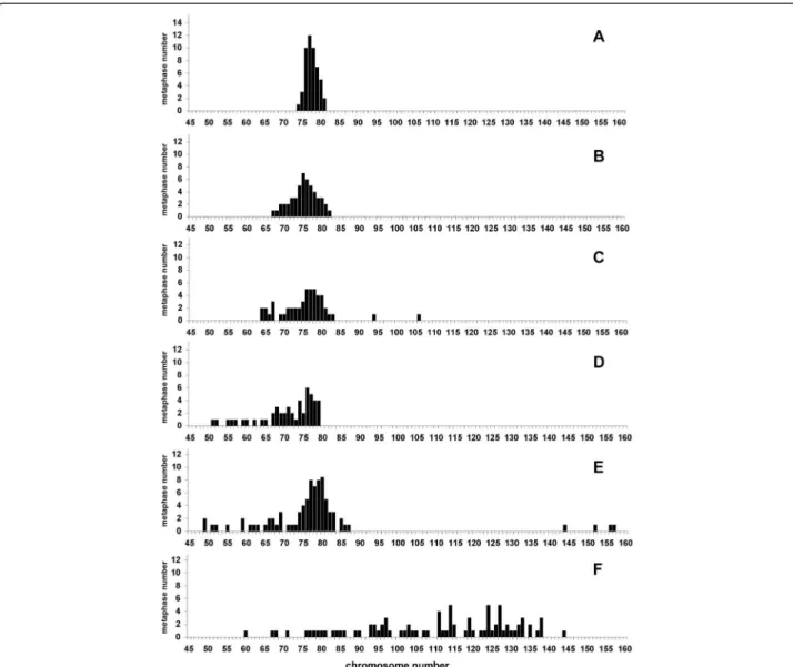 Figure 3 Analysis of metaphases of MDCK II cells obtained from six different laboratories (A-F)