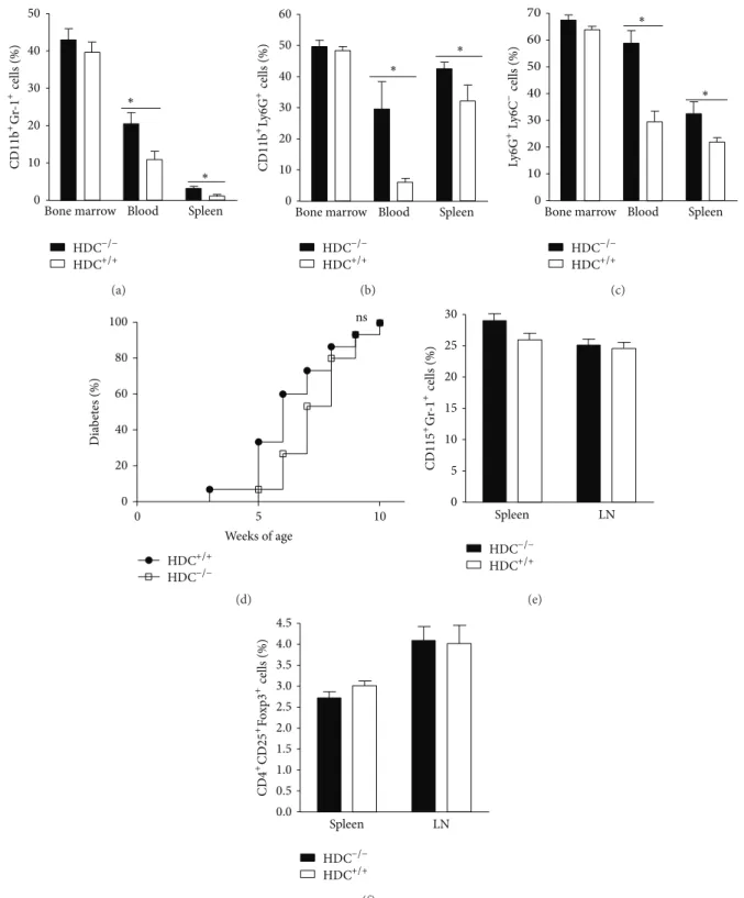 Figure 2: HDC deficiency increases CD11b + Gr-1 + and CD11b + Ly6G + IMCs. (a) The percentages of CD11b + Gr-1 + IMCs in BM, spleen, and peripheral blood in wild-type and HDC −/− mice were measured by FACS analysis ( ∗ 