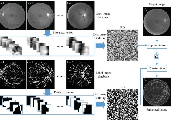 Fig. 3.  Flow chart of the retinal vessel enhancement method via VE-MSC,  h 4, t 10 (only use the  green channel of the original RGB retinal image in the Gray image database).