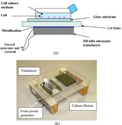 Figure 26: Schéma et image du dispositif comprenant une flasque de culture cellulaire sur un transducteur piézoélectrique  [112]