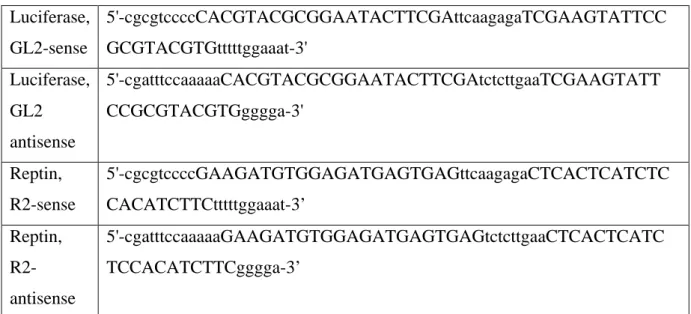 Table 1. Primers for construction of plasmids expressing shRNAs.  Luciferase,  GL2-sense  5'-cgcgtccccCACGTACGCGGAATACTTCGAttcaagagaTCGAAGTATTCC GCGTACGTGtttttggaaat-3'  Luciferase,  GL2  antisense  5'-cgatttccaaaaaCACGTACGCGGAATACTTCGAtctcttgaaTCGAAGTATT 