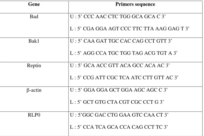 Table 2. Primers for PCR 