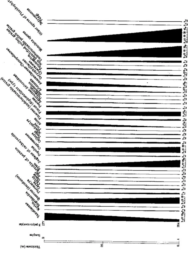 Fig. 14 . HINOVA (partie supérieure : lignites A et B) : diagramme pollinique détaillé.