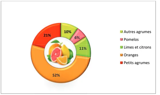 Figure 1. Pourcentages de la production mondiale des principaux groupes d’agrumes  commercialisés pour l’année 2012  (FAO, 2014) 
