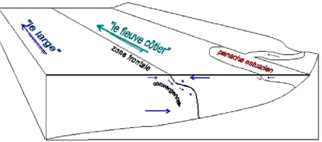 Figure I.4 : Mise en évidence du fleuve côtier et de la zone frontale du site atelier Manche Orientale (dessin de  Jean-Michel Brylinski, d’après Brylinski et al., 1991)