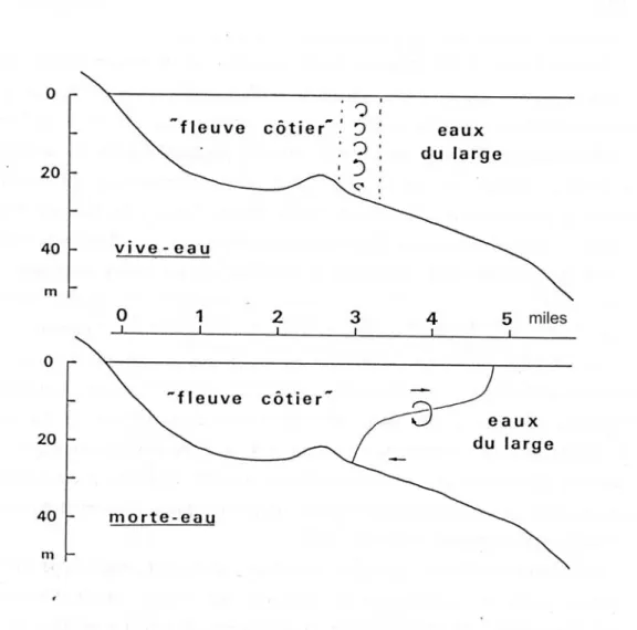 Figure I.5 : Structure théorique du système eaux côtières / eaux du large dans le secteur sud Pas-de-Calais  (Brylinski et al., 1991)