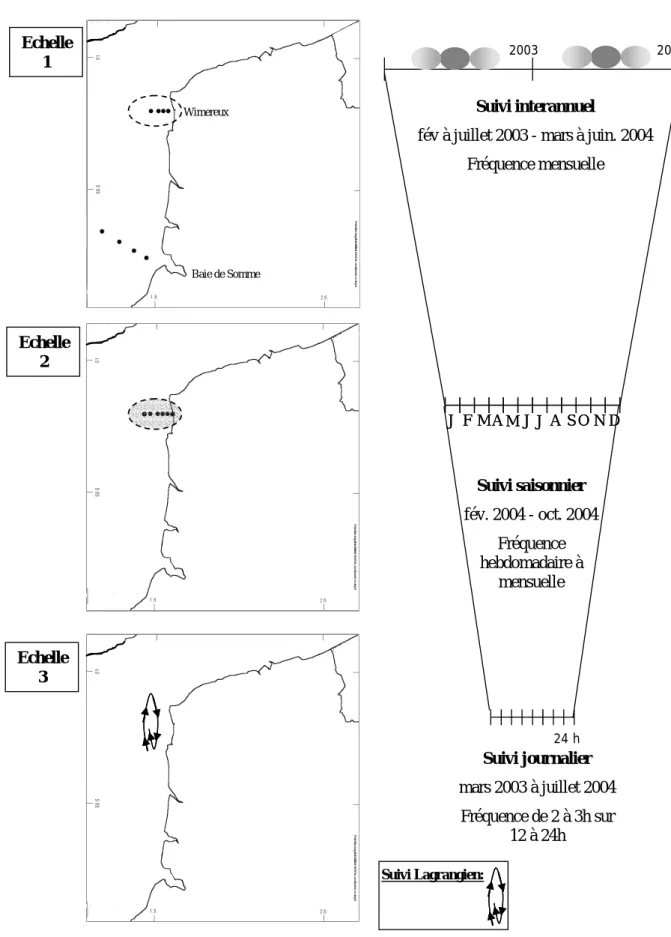 Figure II.1 : Site d’étude Manche orientale – Présentation des échelles spatio-temporelles d’observation  (Echelles 1 à 3) : localisation des points de prélèvement pour chaque échelle spatiale et chaque échelle  temporelle associée