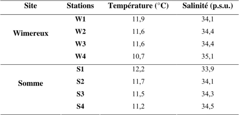 Tableau II.5 : Distribution des températures (°C) et des salinités des eaux de surface (sur le 1 er  mètre de  profondeur) sur les radiales de Wimereux et de Somme au cours des campagnes des 12 et 13 mai 2003