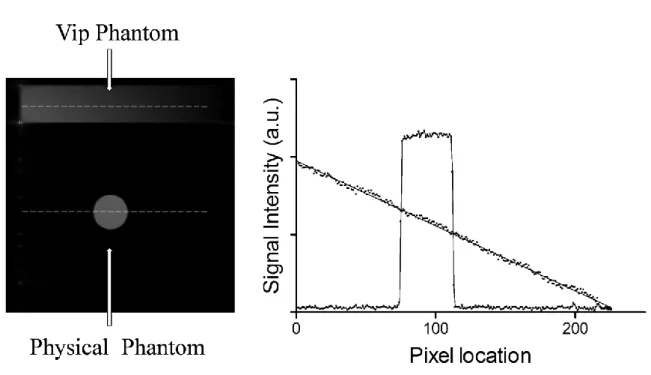 Figure 4. The MR image (left panel) and the plot of the signal intensity (right panel) of a virtual  and  physical  phantom