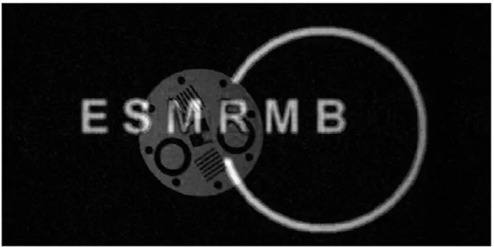 Figure  6.  The  MR  image  of  a  quality-control  phantom  and  a  virtual  phantom  (the  logo  of  the  European Society for Magnetic Resonance in Medicine and Biology, ESMRMB)