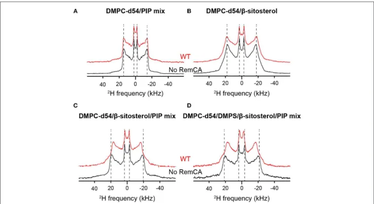 FIGURE 2 | Comparison of 2 H quadrupolar spin echo spectra acquired at 298K in absence (black) or in presence (red) of RemCA WT