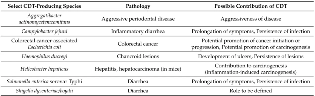 Table 1. Possible contribution of select CDT-producing species in pathology (adapted from [12,41]).