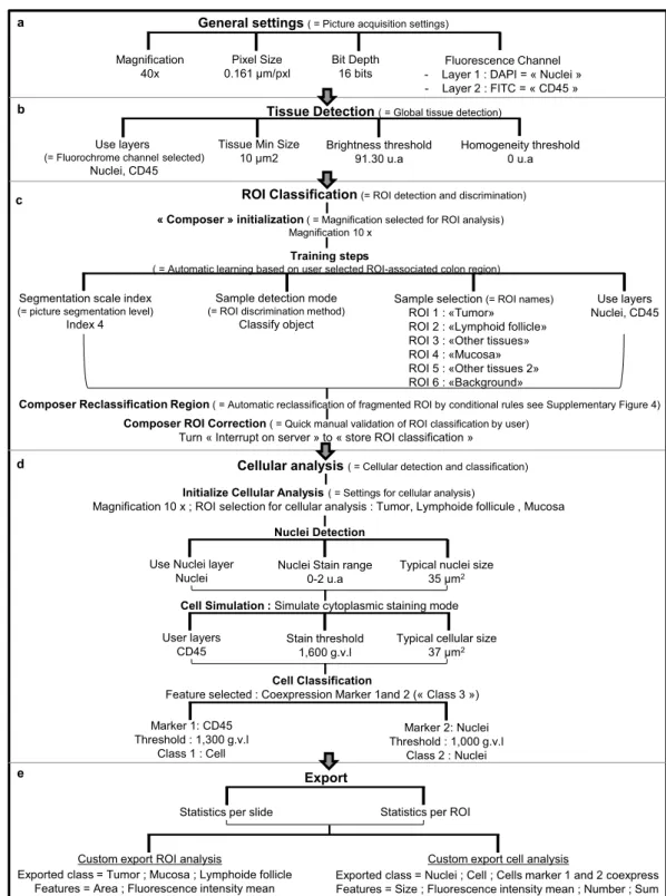 Figure 2.  Optimal digital image analysis algorithm flowchart for whole colon slide: example of CD45 single  staining