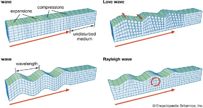 Figure 1.3 – Présentation des différentes ondes propagées au sein d’un milieu élastique avec leurs polarisations