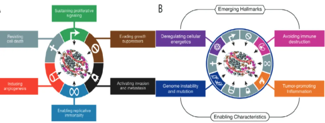 Figure 2.1: Evolution of the hallmarks of cancer over the past decade. A) Cancer hallmarks  in 2000