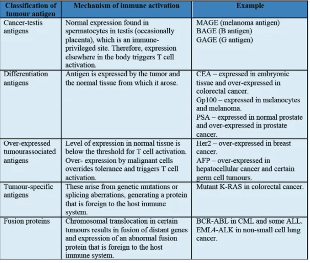 Table 2.2: Classification of tumor-associated antigens that are recognized by T cells (109).