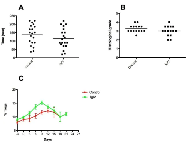 Figure 1. Preventive administration of IgIV does not alter severity of EAM.  