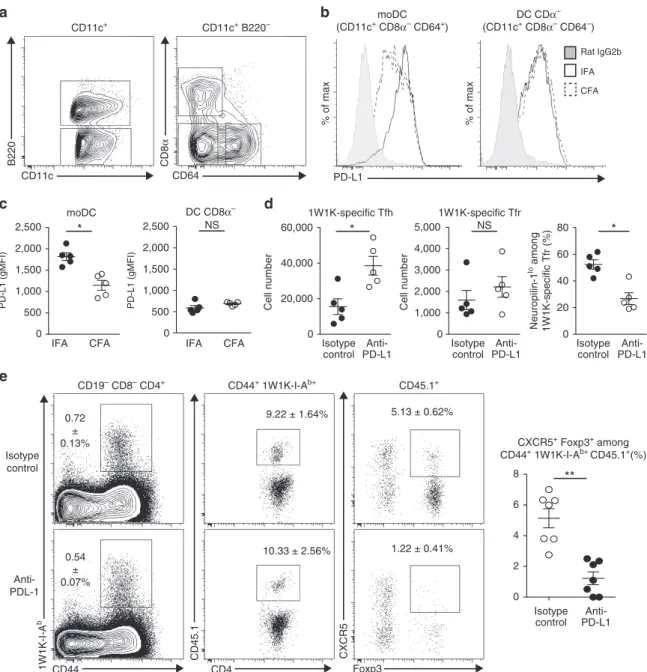 Figure 5 | PD-L1 regulates the formation of induced Tfr cells. (a) Flow cytometric contour plots showing DC in the dLN 48 h post immunization of WT mice with Ea-OVA in IFA or CFA