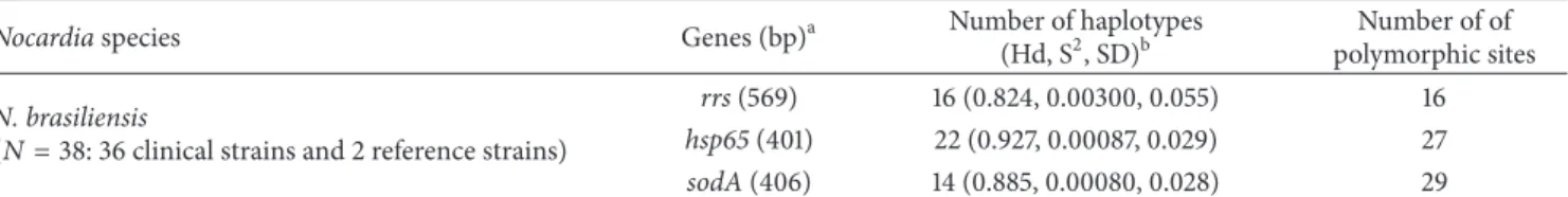 Table 3: DNA polymorphism of rrs, hsp65, and sodA genes from clinical N. brasiliensis strains isolated in France.