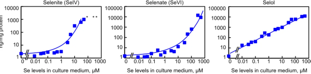 Figure 4. Measurement of selenium levels of HEK293 cells grown with increasing concentration of  selenite, selenate or Selol in the culture media (from 10 nM up to 500 µM)