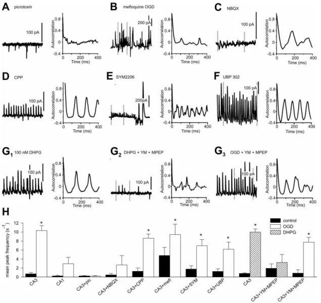 Fig. 3. OGD-induced oscillations require intact inhibitory transmission and are highly sensitive to  AMPA receptor antagonists