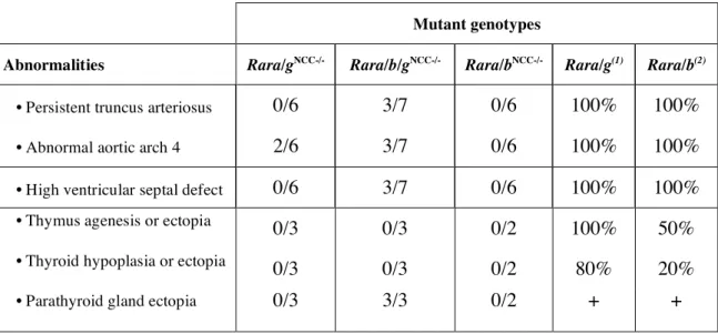 Table 2: Cardiovascular and glandular abnormalities in Rar NCC-/-  mutants. Legend. + :  presence of ectopic parathyroid gland, percentage not determined