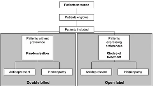 Figure 6. RCT, with patient preference arms. For patients who agreed to randomization,  treatment is allocated with a randomization strategy