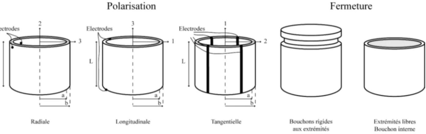FIGURE 1.9 – Polarisations et types de fermeture de tubes piézoélectriques. Modiﬁé d’après Leblanc, 1981.