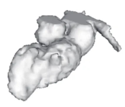 Figure 4: 3D surface of the extracted shape, corresponding to time t 0 , represented at a lower resolution to highlight main structures.