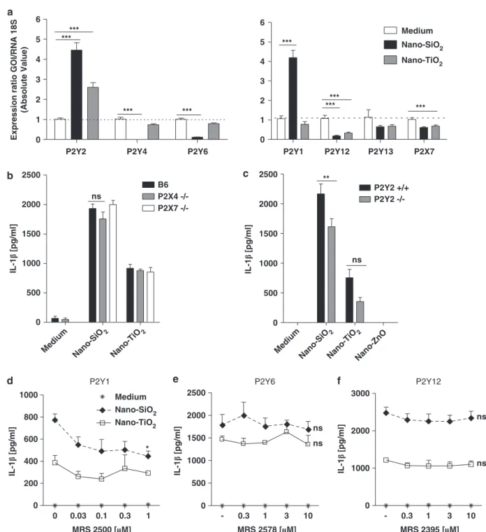 Figure 3 Nanoparticles induce IL-1 β secretion through P2Y metabotropic purinergic receptors in murine macrophages