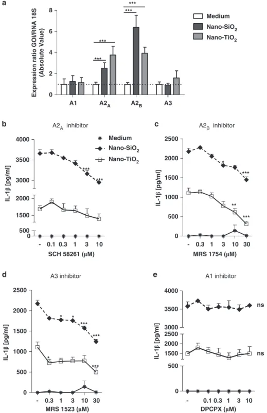 Figure 5 A2 A , A2 B and A3 receptors were involved in NLRP3 inflammasome activation. Quantitative PCR analysis of P1 receptor expression in LPS-primed BMDMs stimulated for 4 h with nano-SiO 2 or nano-TiO 2 