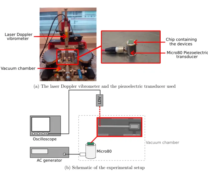 Figure 3.3: Experimental setup for the measurement of the natural frequency of the single cantilevers