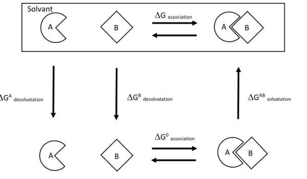Figure  10:  Schéma  du  cycle  thermodynamique  décrivant  l’association  de  2  macromolécules A et B en phase gazeuse et en solvant