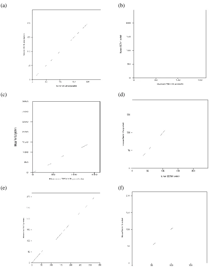 Figure 12: Comparaison des séquences protéiques complètes de TEX19 et SECTM1 par  diagramme de points