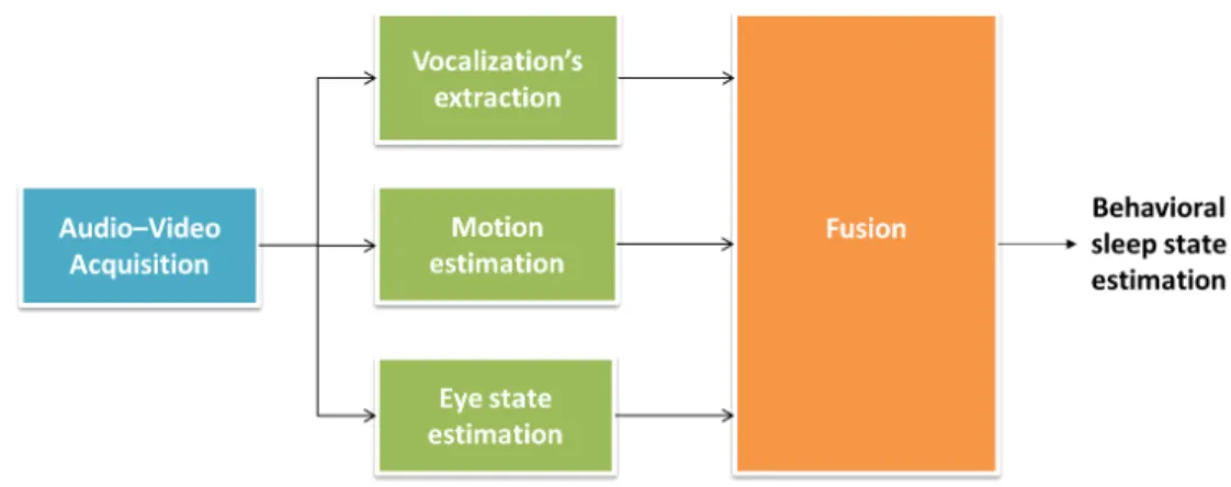 Figure 1: Workow of the methodological steps for the behavioral sleep state estimation.