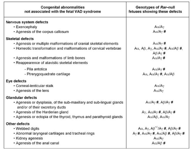 Table 3.  Abnormalities absent from the fetal vitamin A deficiency (VAD) syndrome are found in Rara-, Rarb- and Rarg-null mutants (Aα, Aβ, Aγ), and in compound Rara/b-, Rara/g- and Rarb/g-null mutants (Aα/Aβ, Aα/Aγ and Aβ/Aγ)
