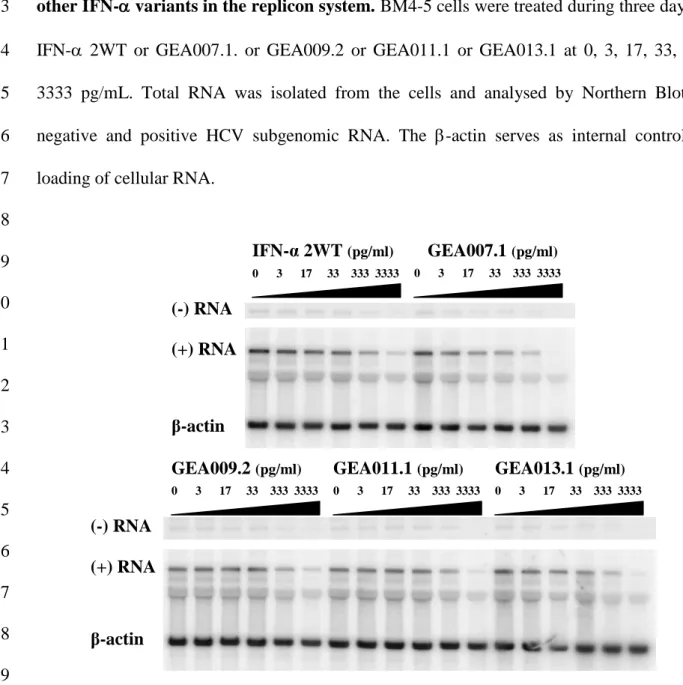 Figure  1.  GEA007.1  has  improved  inhibitory  properties  compared  to  IFN-  2WT  and 2 