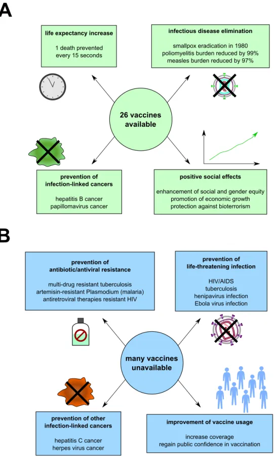 Figure 2. Overview of vaccination impact on public health nowadays. Current successes (A) and unmet challenges (B) of vaccination, based on WHO estimations, are represented.